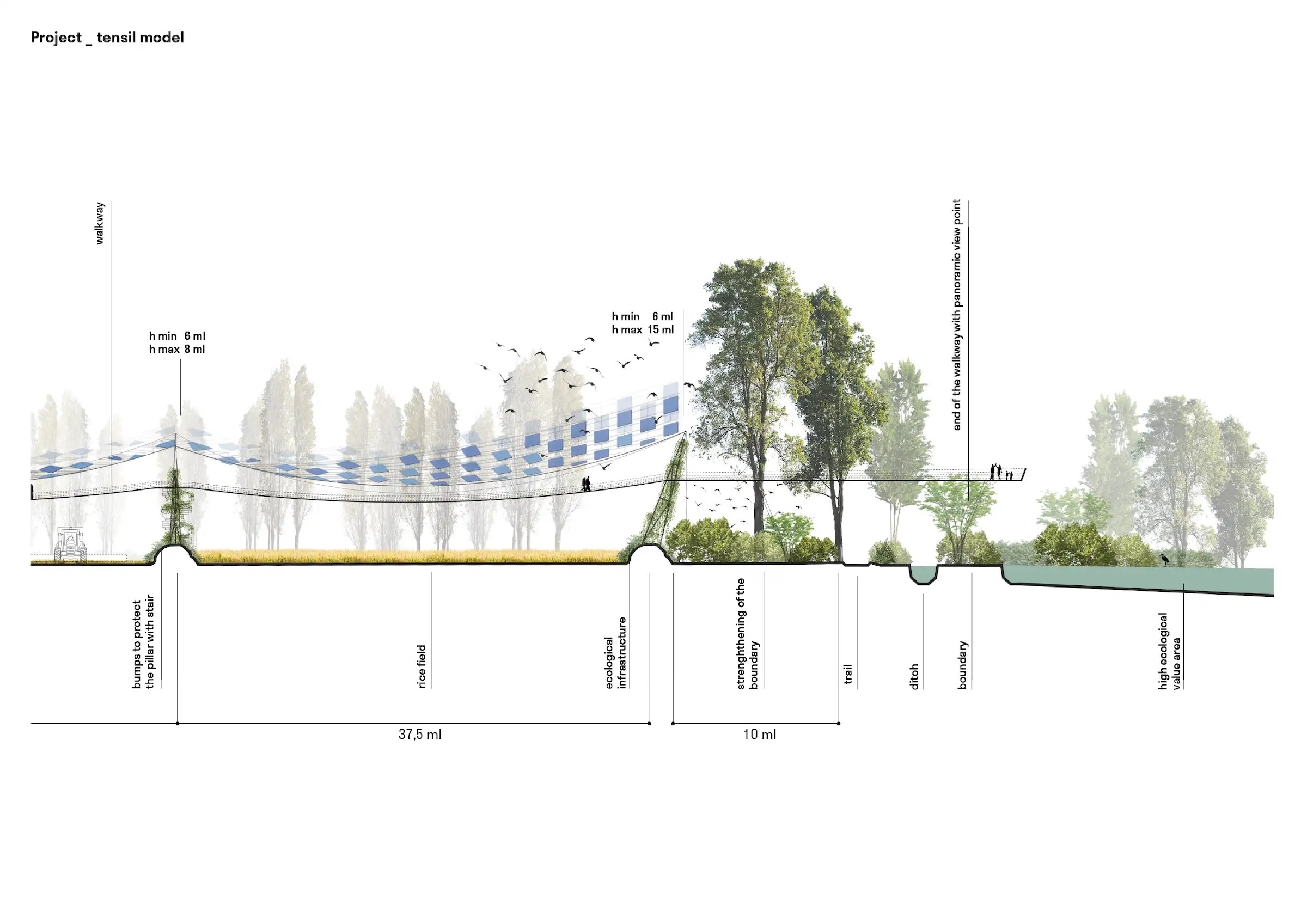 Deutsch: Schnittdarstellung des A-GRID Agrivoltaiks-Modells mit variablen Höhen der Tensostruktur, landwirtschaftlichen Nutzflächen und integrierten ökologischen Räumen. English: Section drawing of the A-GRID agrivoltaics model showing variable tensile structure heights, agricultural zones, and integrated ecological buffers.